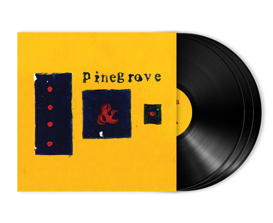 Pinegrove - Everything So Far - 11th Anniversary Edition 3x Vinyl PREORDER