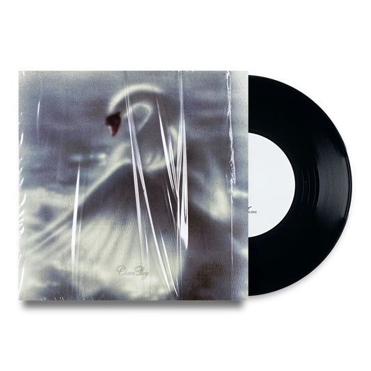 Shlohmo - Chore Boy 7"